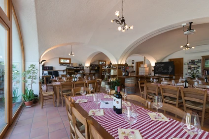 Degustazione di vini in una cantina trentina della Valle dei Laghi 2